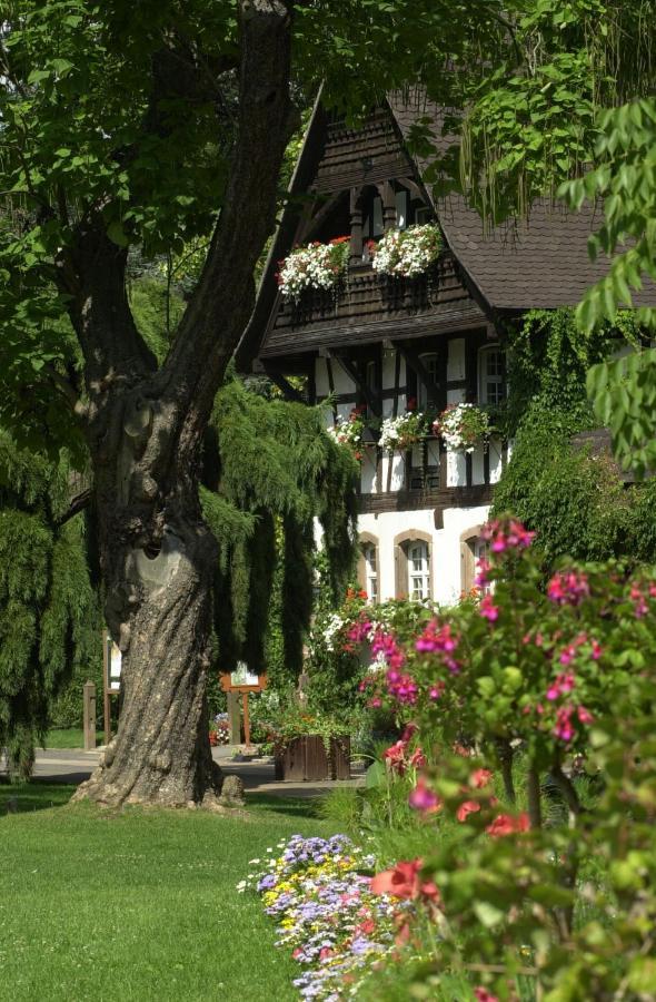 Nancy Ville Dış mekan fotoğraf